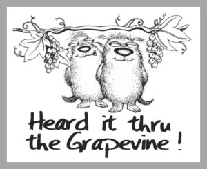 grapevine icon 2.jpg (17601 bytes)