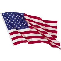 flag american.jpg (9429 bytes)