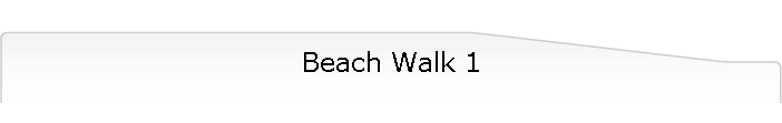Beach Walk 1