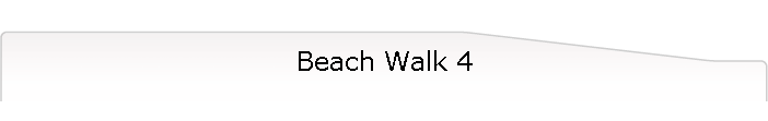 Beach Walk 4