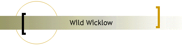 Wild Wicklow