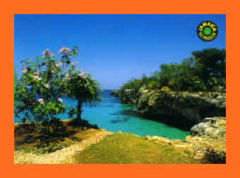jamaica shore.jpg (19499 bytes)