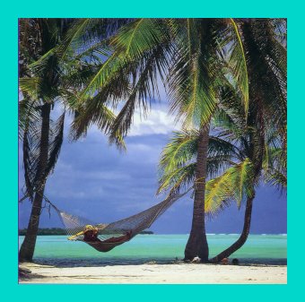 jamaican beach nap.jpg (33700 bytes)