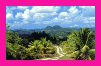 jamaican mountains.jpg (21019 bytes)